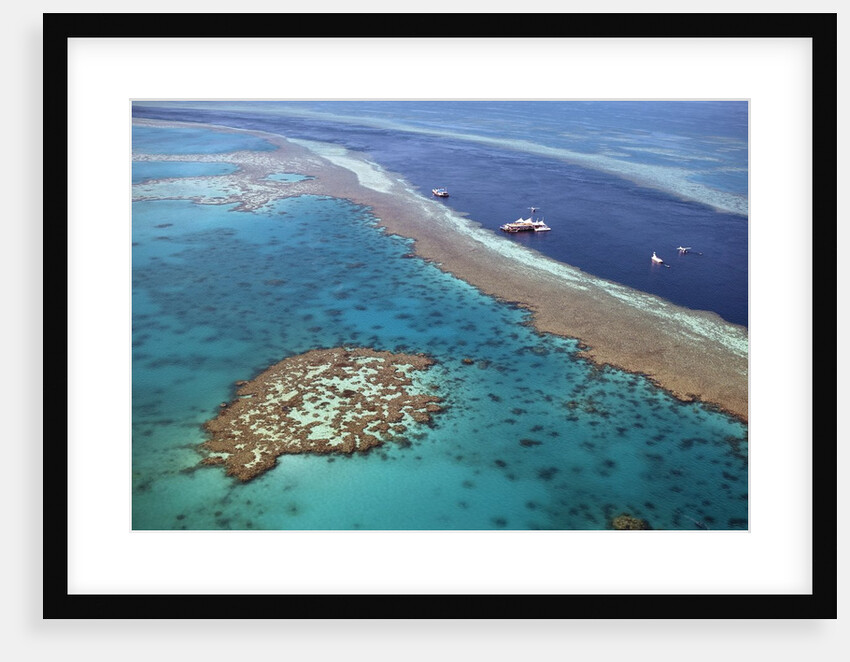 Aerial view of the Great Barrier Reef, Queensland, Australia by Anonymous
