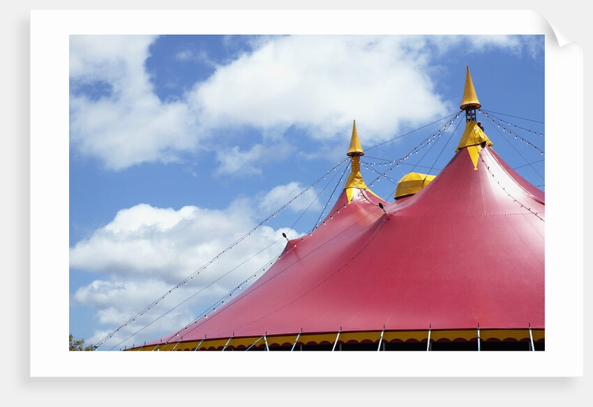 Low angle view of a circus tent roof by Anonymous