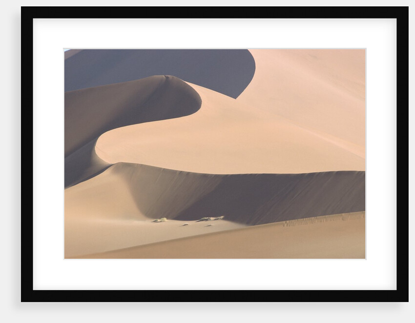 View of sand dunes in a desert by Anonymous