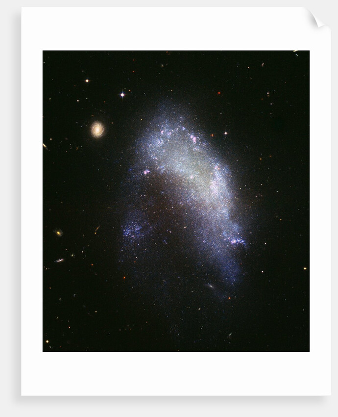 Galaxy NGC 1427A Plunges Toward the Fornax Galaxy Cluster by Anonymous