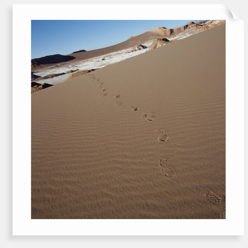 View of footprints leading over a sand dune by Anonymous