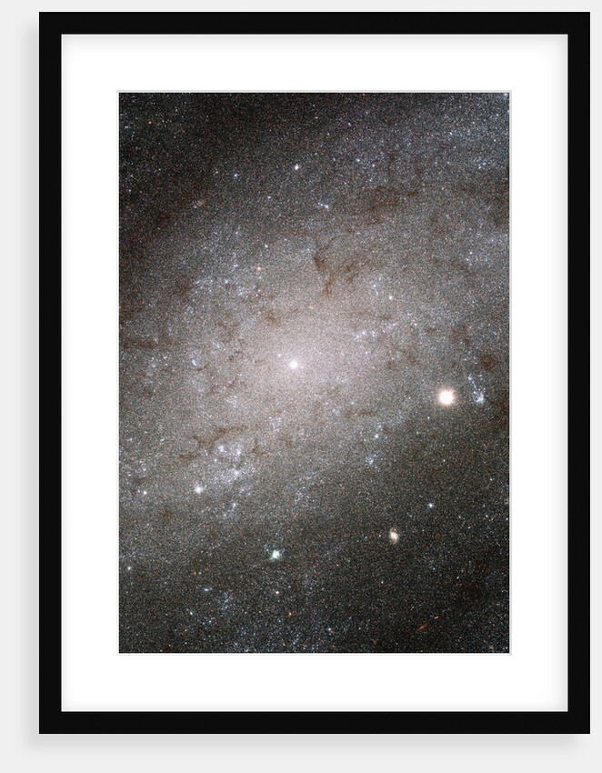 Core of Galaxy NGC 300 by Anonymous