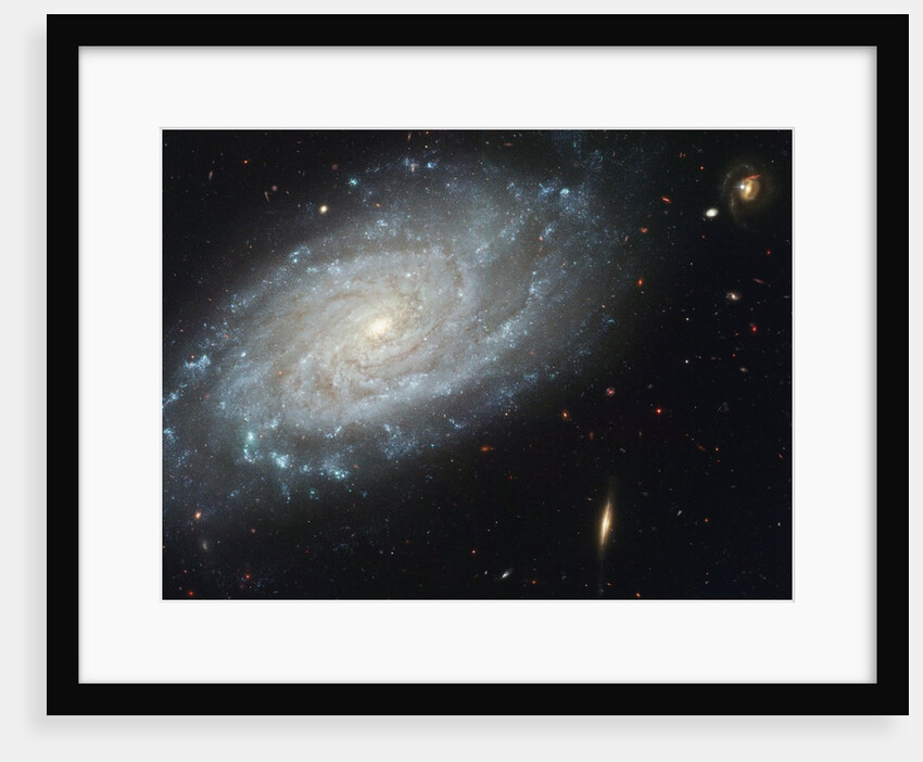 The spiral galaxy NGC 3370 by Anonymous
