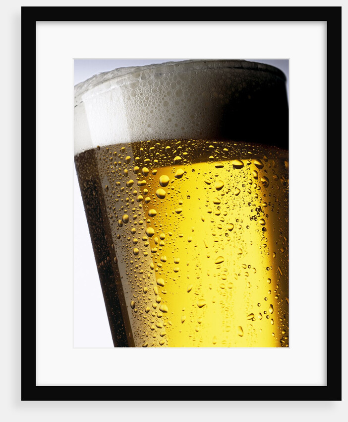 Pint of Cold Lager Beer with Foam Head by Anonymous