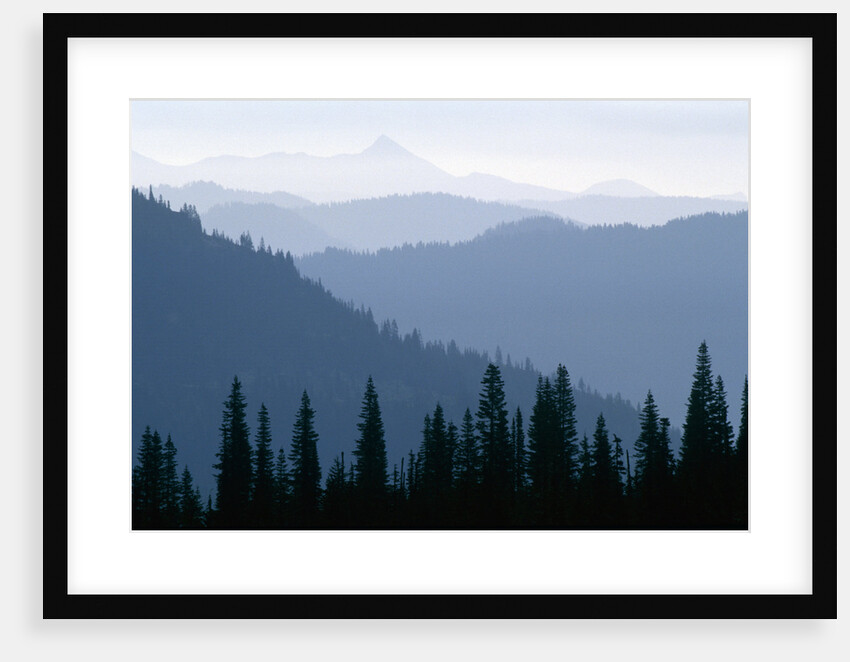 Fog in Cascade Range by Anonymous