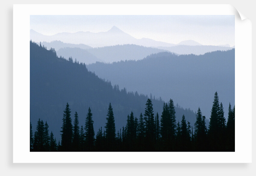 Fog in Cascade Range by Anonymous