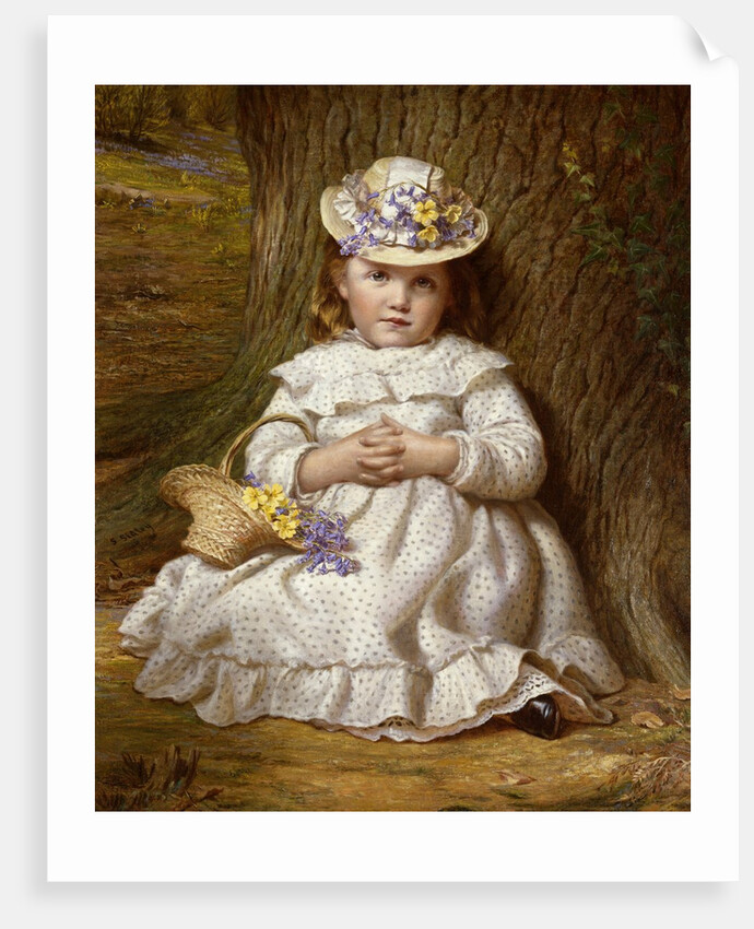 Primroses and Bluebells by Samuel Sidley