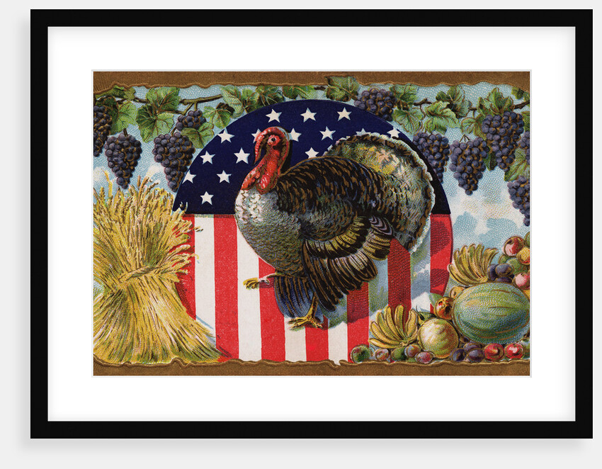 Thanksgiving Postcard with Turkey and Stars and Stripes Motif by Anonymous
