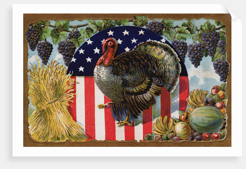 Thanksgiving Postcard with Turkey and Stars and Stripes Motif by Anonymous