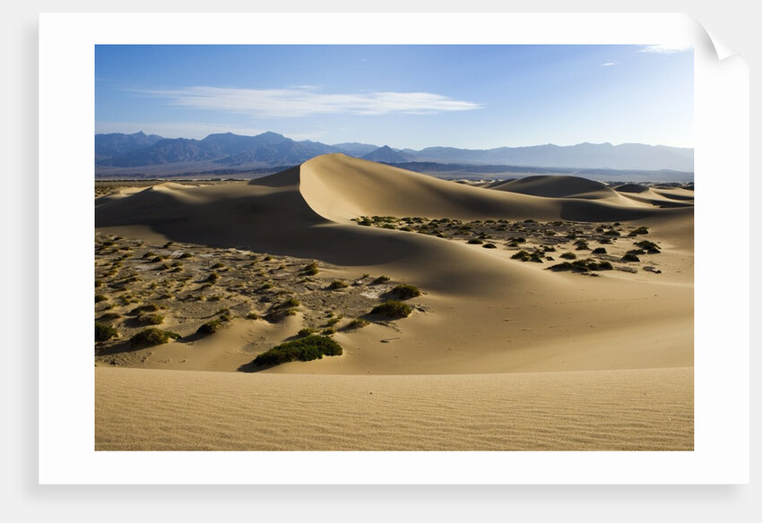 Death Valley by Anonymous