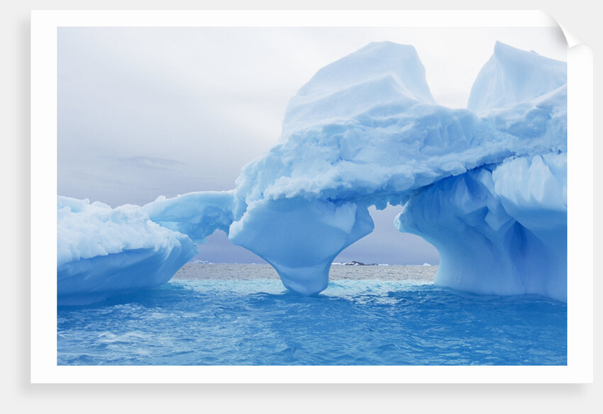 Fantastically Shaped Iceberg by Anonymous