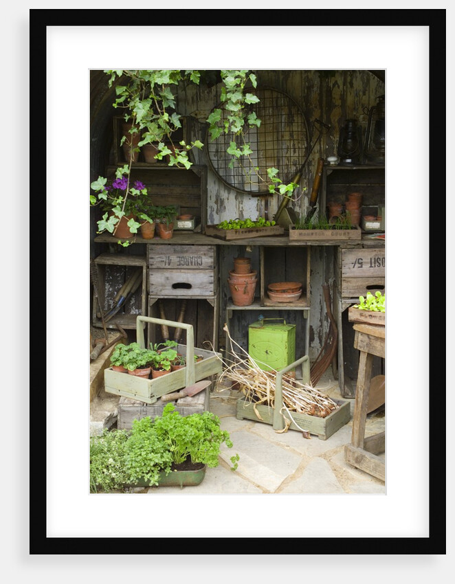 Potting Shed in Garden at Hampton Court Flower Show by Anonymous