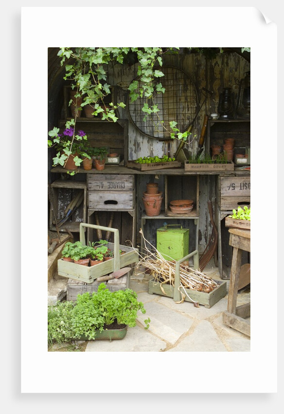 Potting Shed in Garden at Hampton Court Flower Show by Anonymous