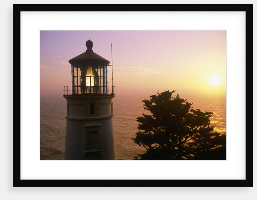 Sunset at Heceta Head Lighthouse in Oregon by Anonymous