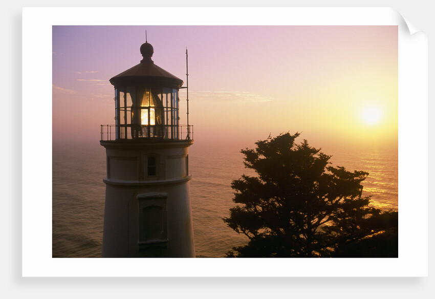 Sunset at Heceta Head Lighthouse in Oregon by Anonymous