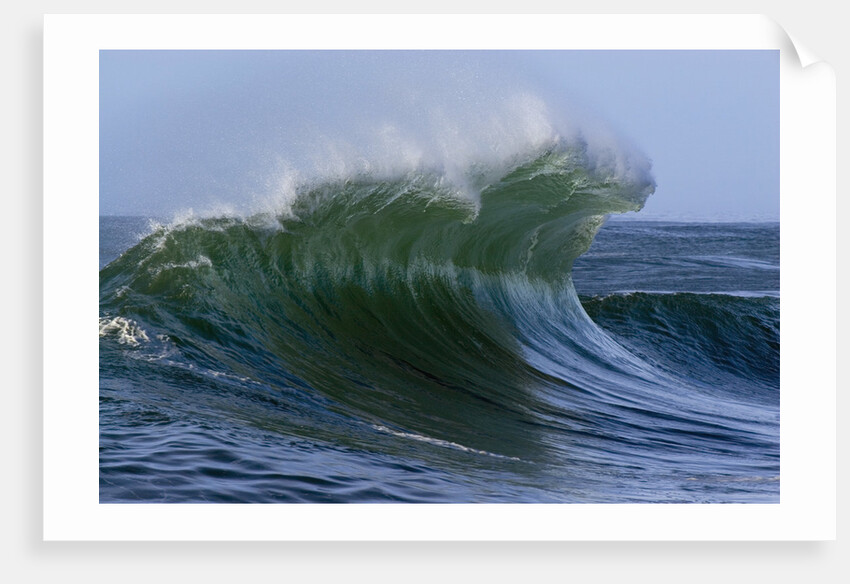 Large Wave at the Oregon Coast by Anonymous