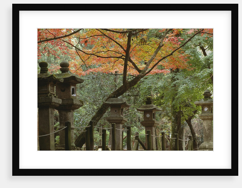Lanterns at Kasuga Taishi Shine by Anonymous
