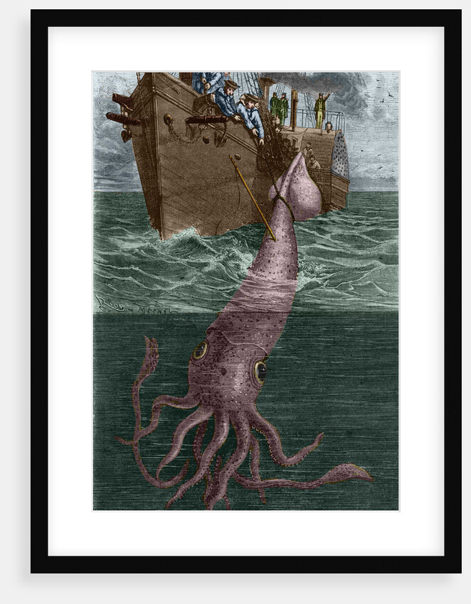 Illustration of the Crew of the Alecton Attempting to Catch a Giant Squid by Anonymous