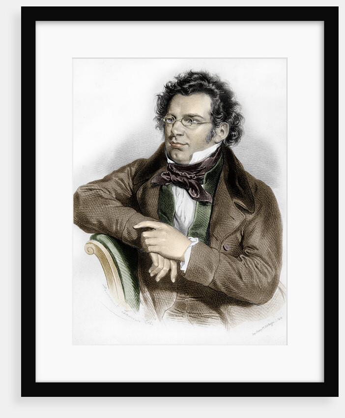 Portrait of Franz Schubert by Anonymous