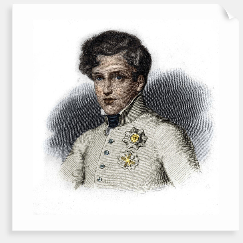 Portrait of Napoleon II, Duke of Reichstadt by Anonymous