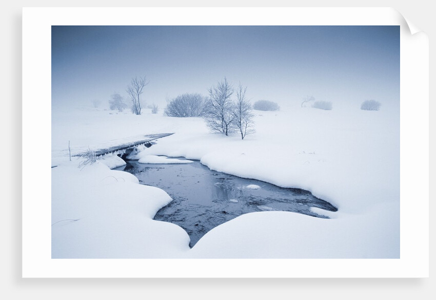 View of winter landscape by Anonymous