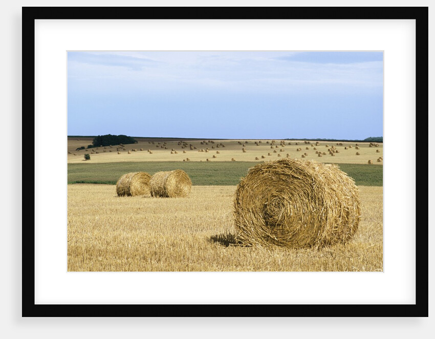 View of a field of haystacks by Anonymous