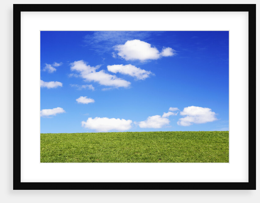 Clouds in Blue Sky Over Green Grass by Anonymous