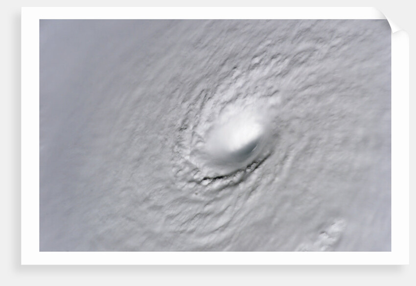 Eye of Hurricane Wilma by Anonymous