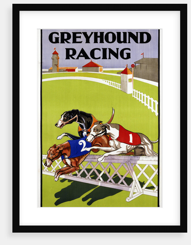 Greyhound Racing Poster by Anonymous