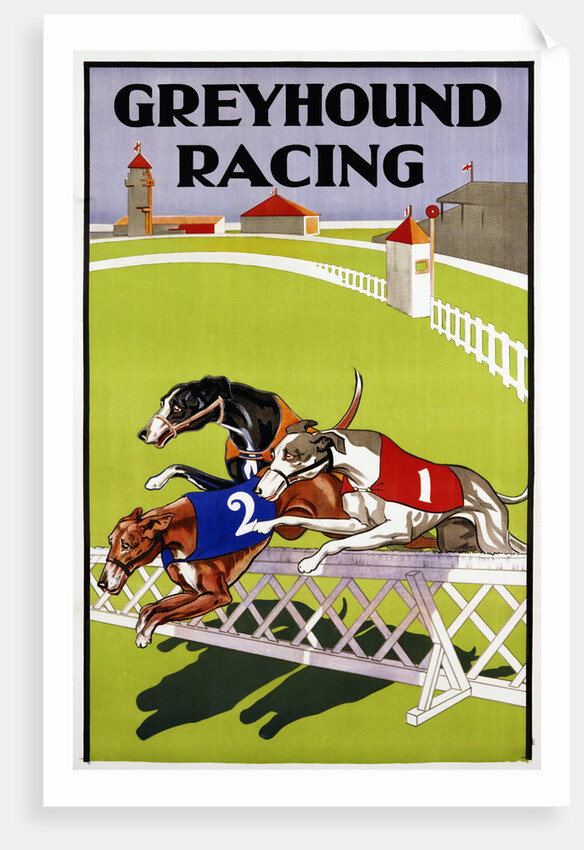 Greyhound Racing Poster by Anonymous