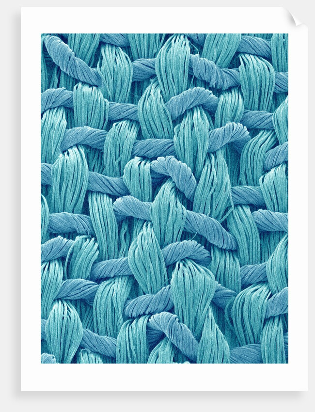Woven Cloth by Anonymous