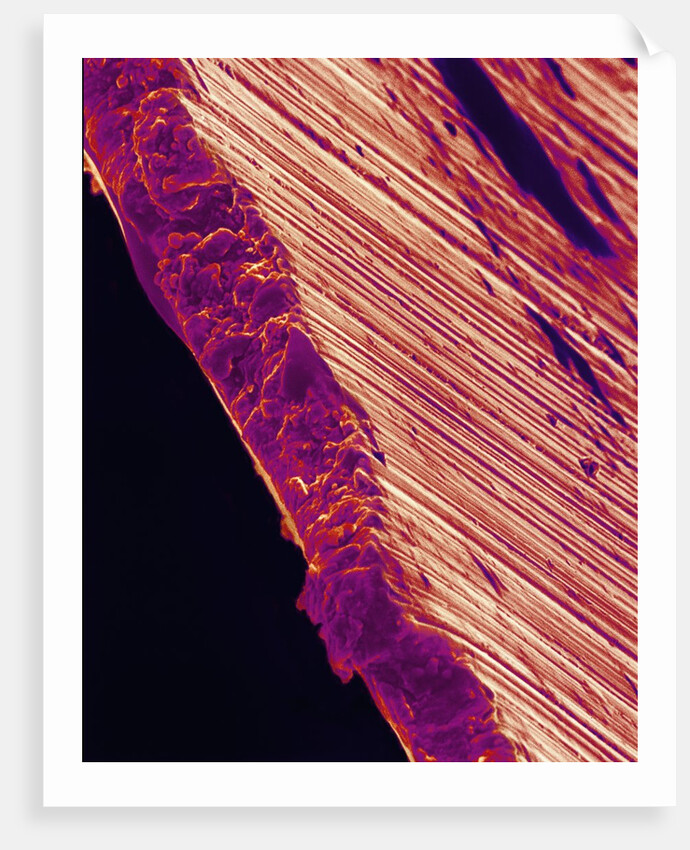 Cutting Edge of Used Razor Blade by Anonymous