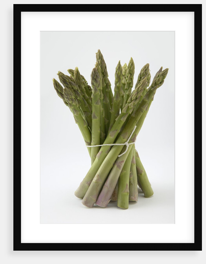 Bunch of Asparagus by Anonymous
