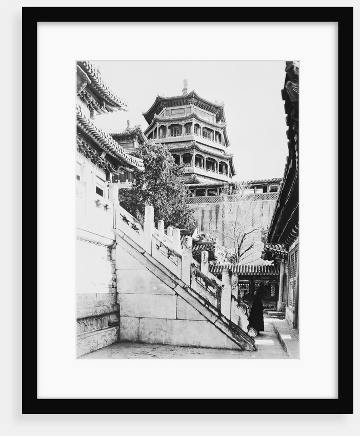 The Summer Palace by Anonymous