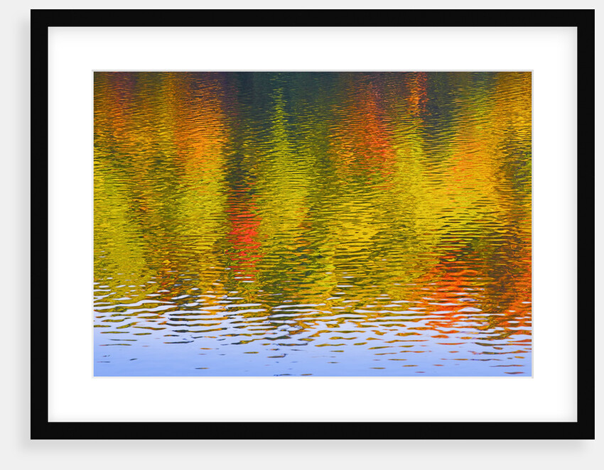 Fall Trees Reflected in Lake by Anonymous