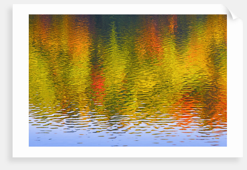 Fall Trees Reflected in Lake by Anonymous