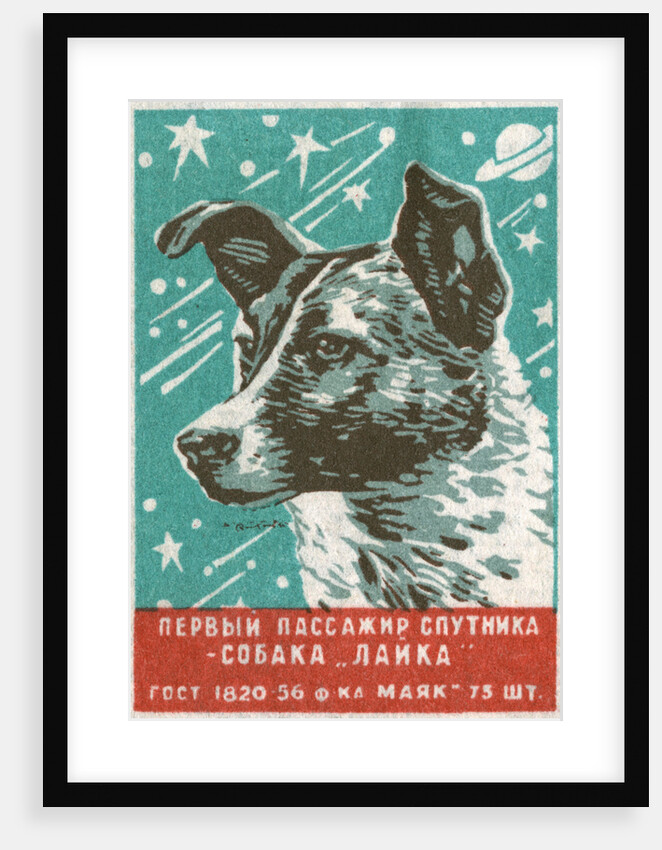 Soviet Matchbox Label with Dog by Anonymous