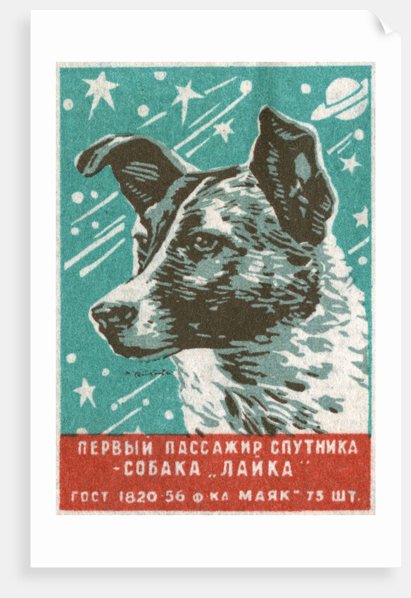 Soviet Matchbox Label with Dog by Anonymous