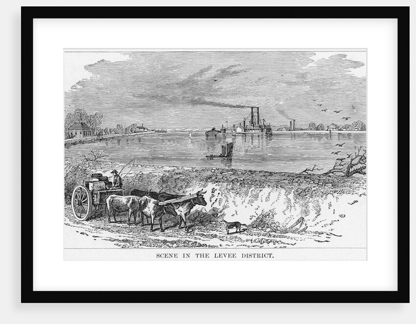 Scene in the Levee District, New Orleans by Anonymous