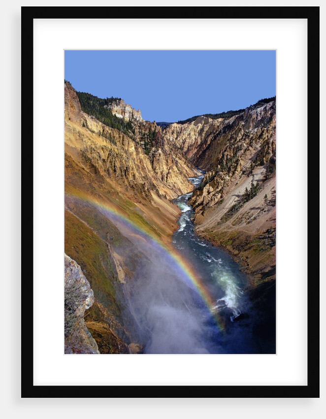 Rainbow over Lower Yellowstone Falls by Anonymous