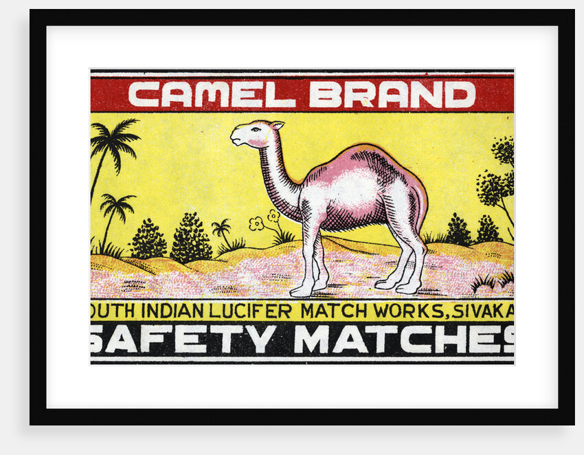 Camel Brand Indian Matchbox Label by Anonymous