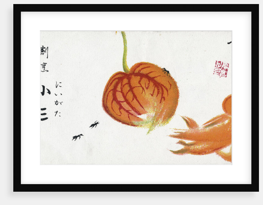 Japanese Advertisement with Chinese Lantern Plant by Anonymous