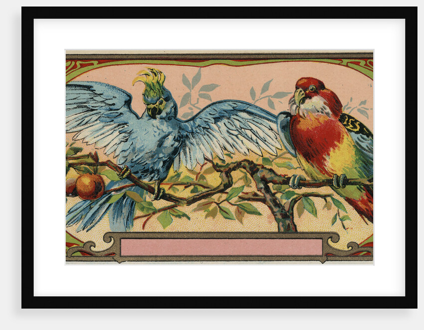 Perfume Label with Two Parrots by Anonymous