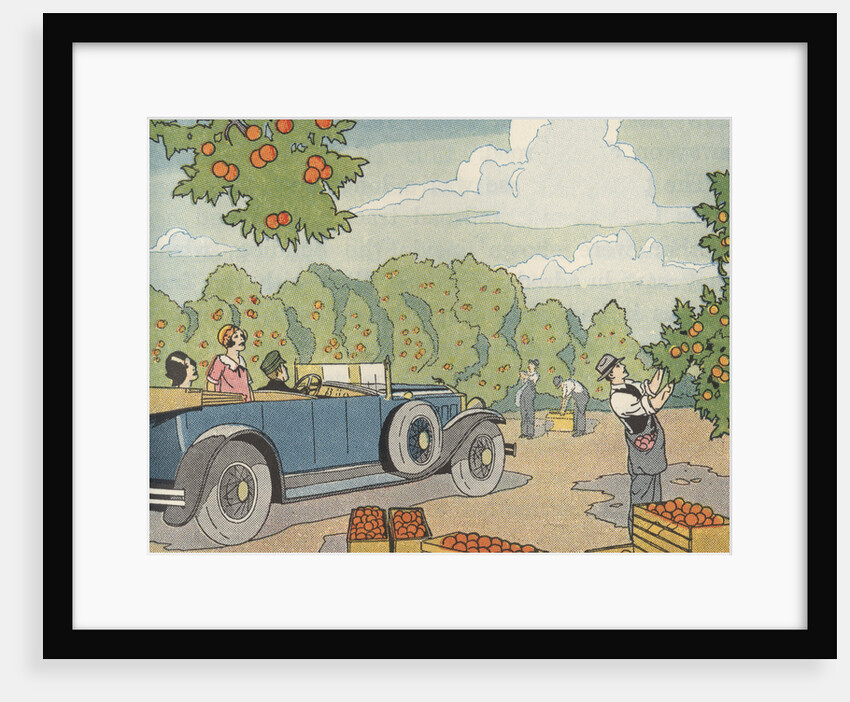 Illustration of a Chauffered Car in an Orange Grove by Anonymous