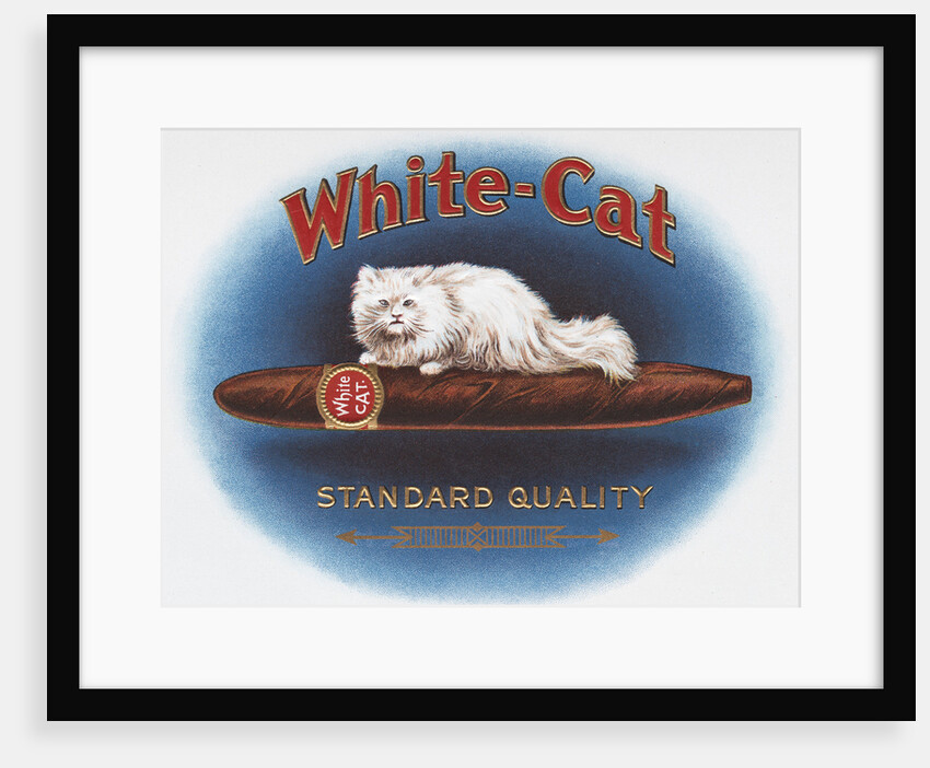 White Cat Cigar Label by Anonymous