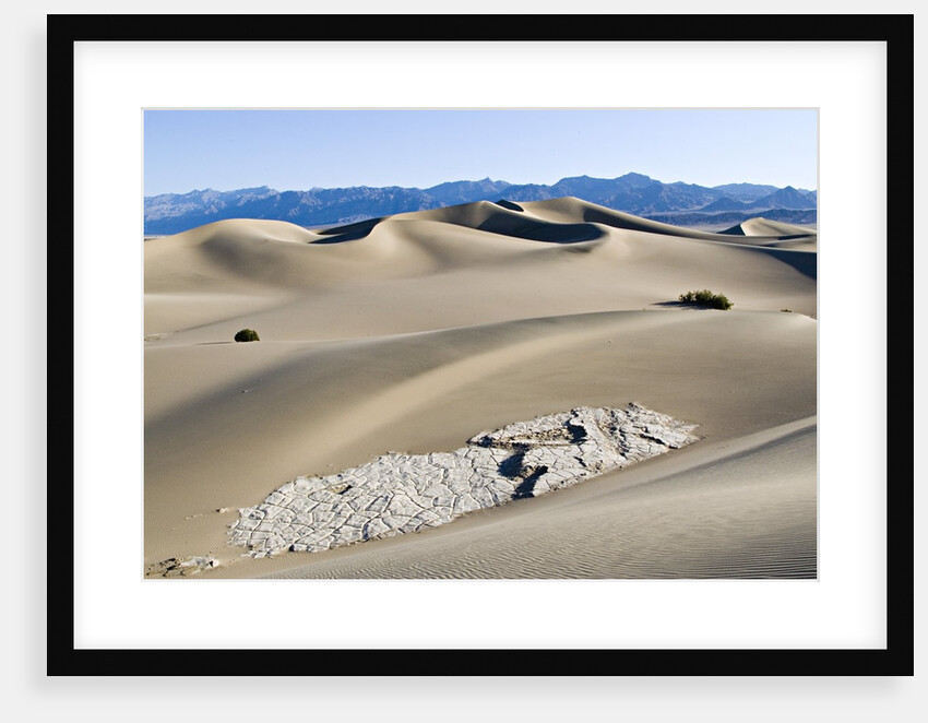 Cracked Rock Formation Amongst Sand Dunes by Anonymous