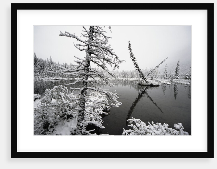 Pond and Forest in Winter by Anonymous
