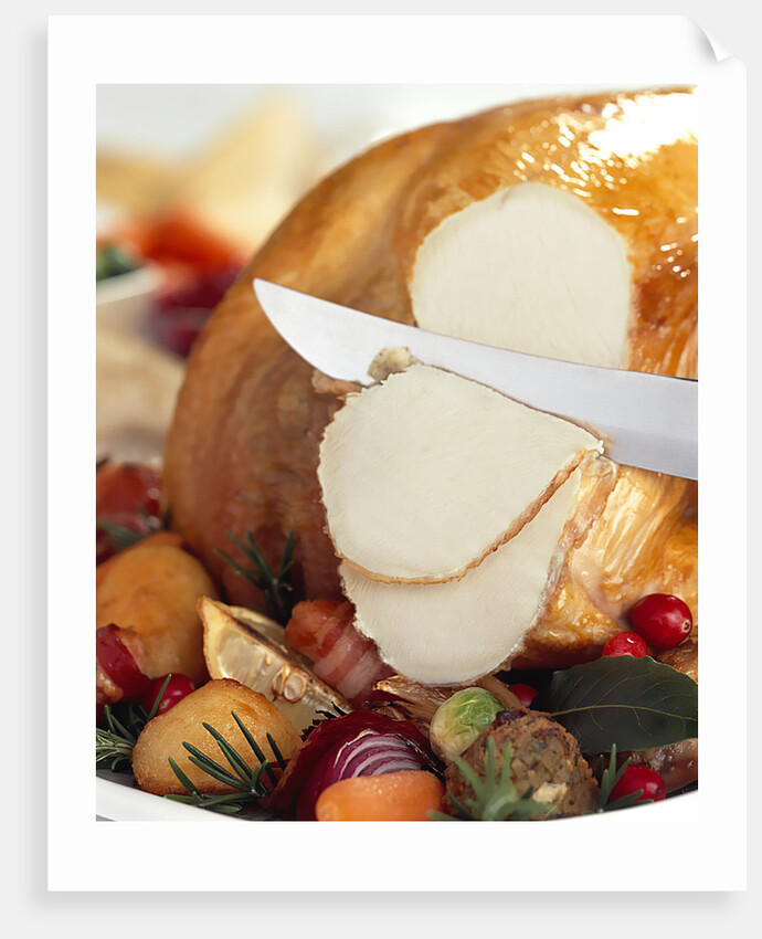 Carving White Meat of Roast Turkey by Anonymous