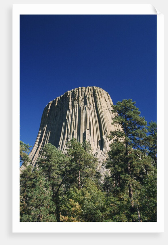 Devil's Tower by Anonymous