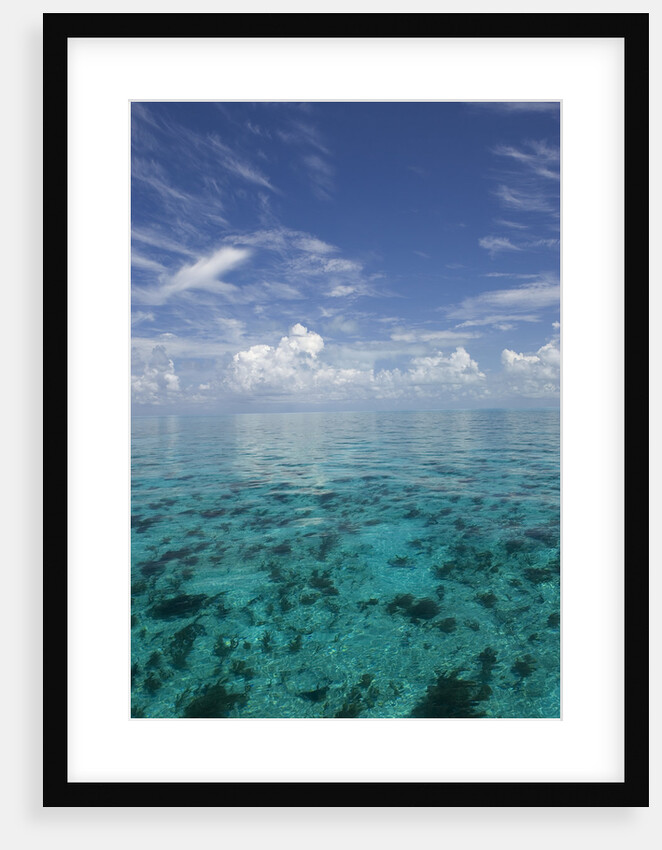 Calm Ocean Water in the Bahamas by Anonymous